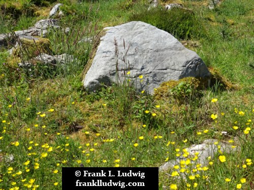 Cavan Burren